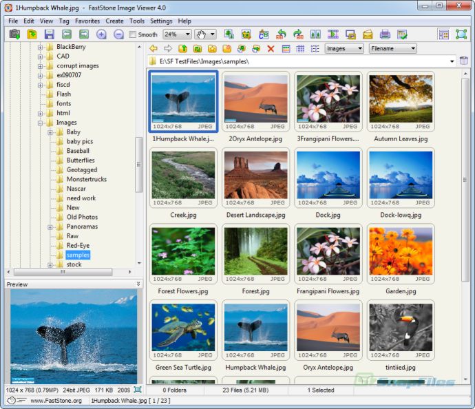 faststone image viewer for mac